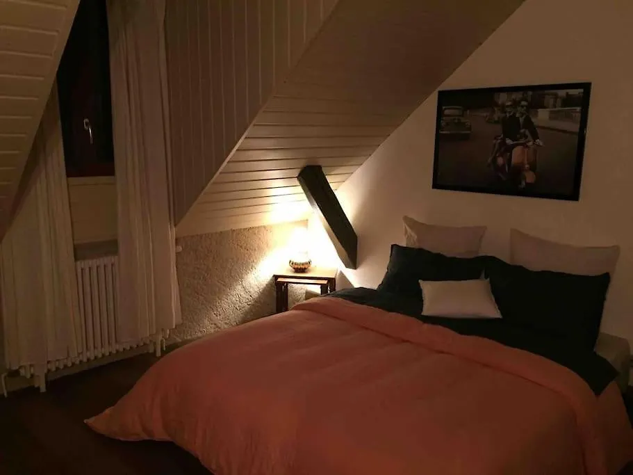 French Farmhouse Between Lake & Mountain Hery-sur-Alby
